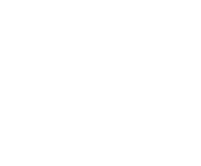 FINAL G logo white